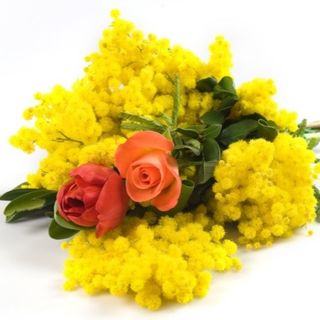 Mimosa con rosa e tulipano