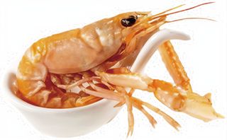 Cigalas Marinadas (1Ud.)