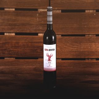 Vino tinto rioja