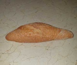 Pan Maxi Bocadillo 1Ud.