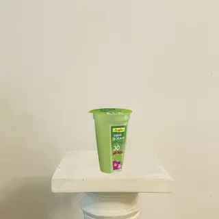 Aqua Plant