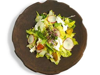 Салат з рваною моцарелою (250g)