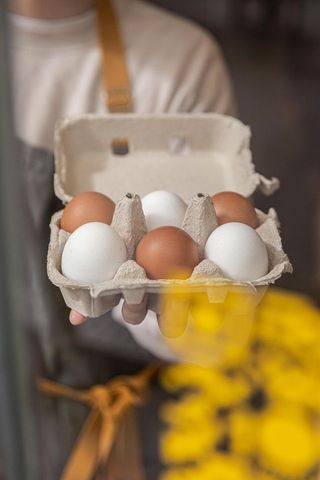 Gallinas Y Cobardes Huevos (Una Docena)