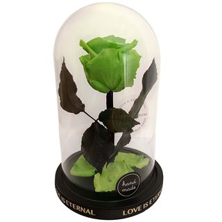 Cúpula de cristal con rosa eterna verde-pistacho.
