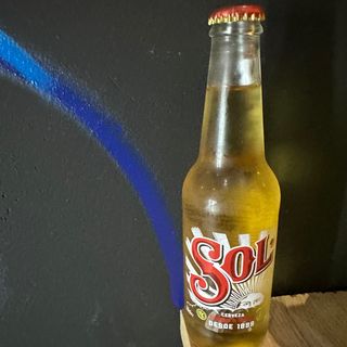 Sol mexicana
