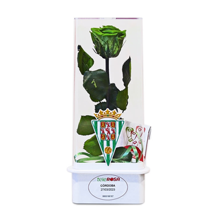 ETERNITY CORDOBA C.F 1,77