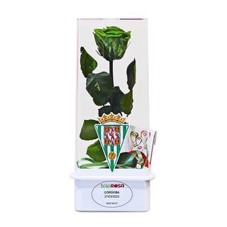 ETERNITY CORDOBA C.F 1,77