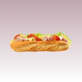Sandwich Mixte