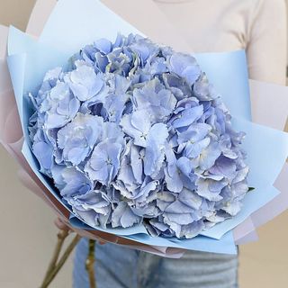 Букет із 3 блакитних гортензій