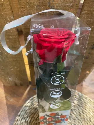 Rosa eterna en rojo