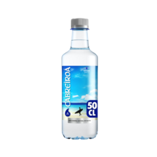 AGUA PET 500