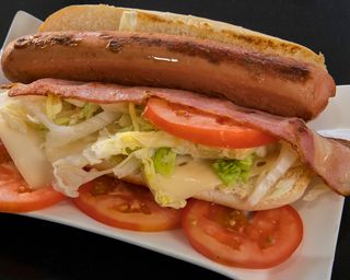 PE-2 Perrito completo