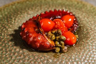 Октопод 220гр