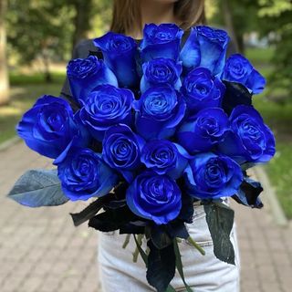 Docena rosas azules