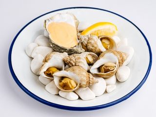 Морські равлики булоти 5шт (5г)