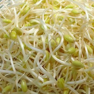 Ensalada de brotes de soja