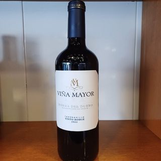 Vino Tinto Viña Mayor Tempranillo 2022 75Cl