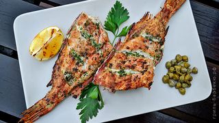 Морской окунь