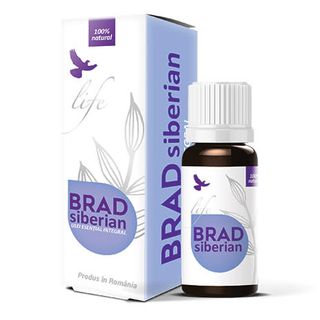 Ulei Esential Brad siberian 10 ml