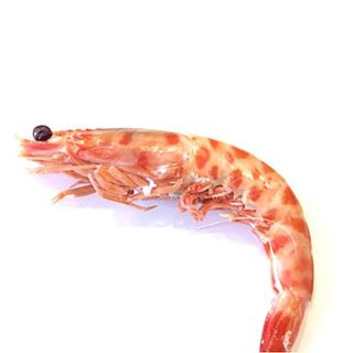 Langostino tigre  Cocido  (ud.)