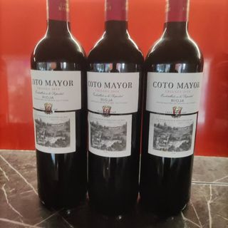 404 Coto Mayor