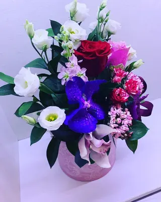 Cutie mix 1