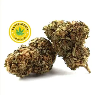 Mango Kush CBD 1Gr