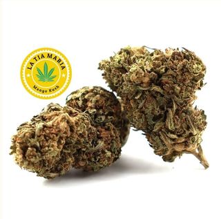 Mango Kush CBD 1Gr