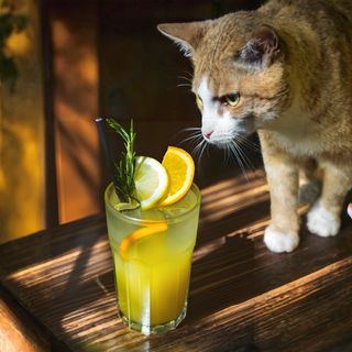 Lemoniada Marakuja-Pomarańcza 400ml