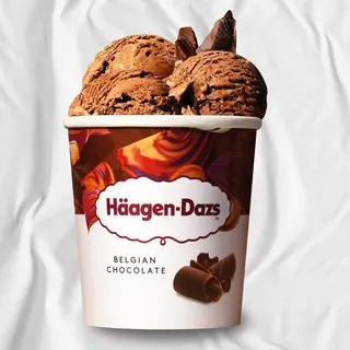 Belgian Chocolate (460ml)