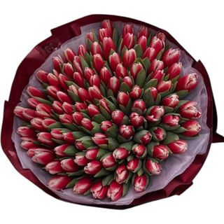 #5 101szt tulipany czerwone z białym