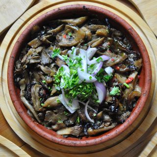 ხის სოკოს ჩაშუშული