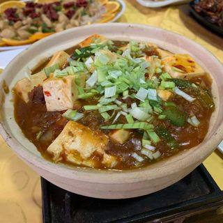 Mapo Tofu Vegetal