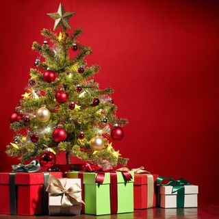 GSB Extreme + Coca Cola 33cl