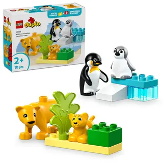Familii de animale salbatice: Pinguini si lei - 10442