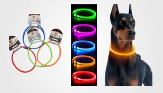 Collar With Lights Small 40Cm (1502)