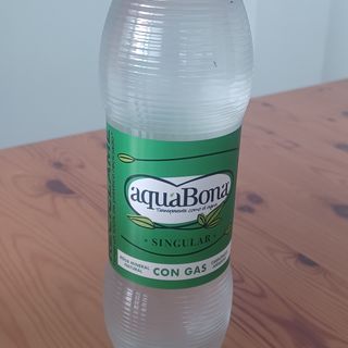 Agua Con Gas (500 Ml.)