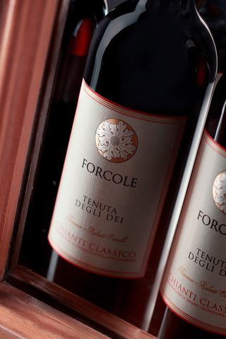 Chianti Classico Forcole 2016