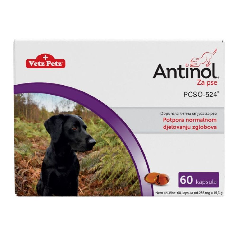 Dodaci prehrani mačke