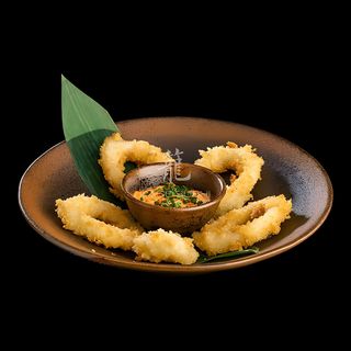 Krążki kalmara 5szt