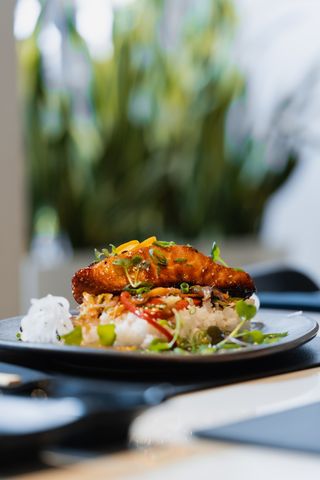 Teriyaki chicken/salmon