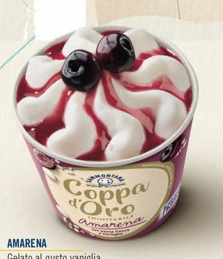 Coppa oro amarena fabbri Sammontana