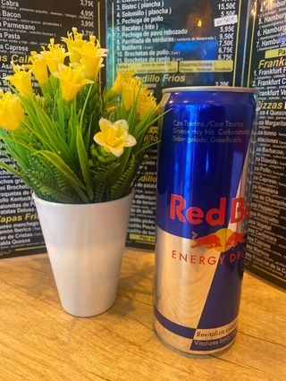 Red Bull (473 Ml.)