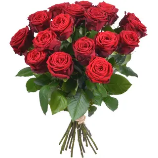 12 rose rosse