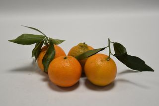 Clementine 1kg
