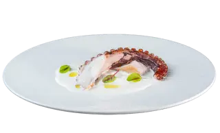 002. Polpo alla griglia