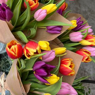 Arrumaco de Tulipanes 