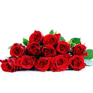 29 Rose rosse cm 70 locali
