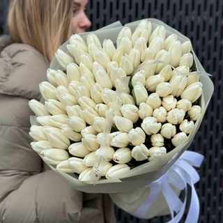 101 білий тюльпан 