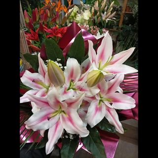 Buket orijentalnog ljiljana